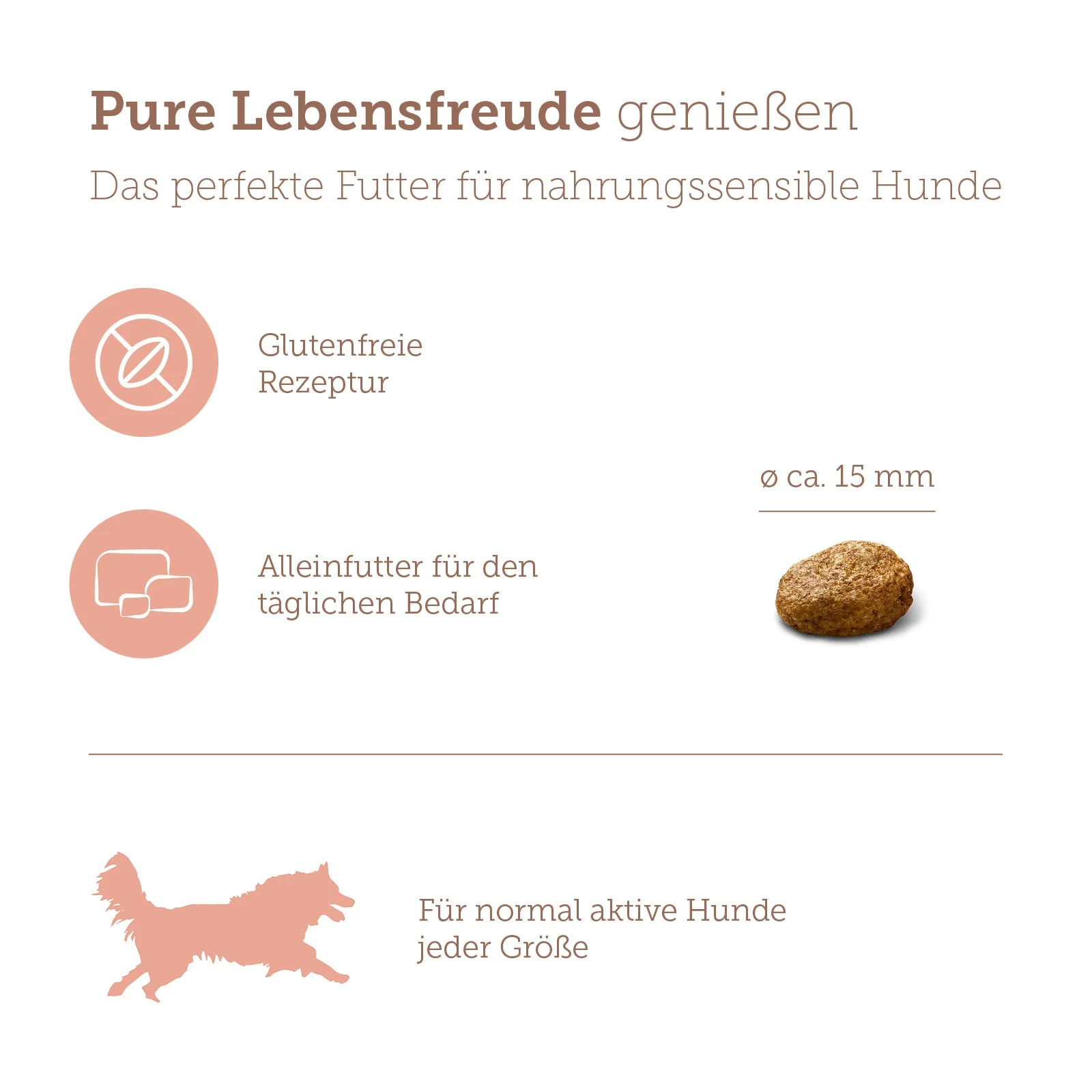 Vorschaubild 9